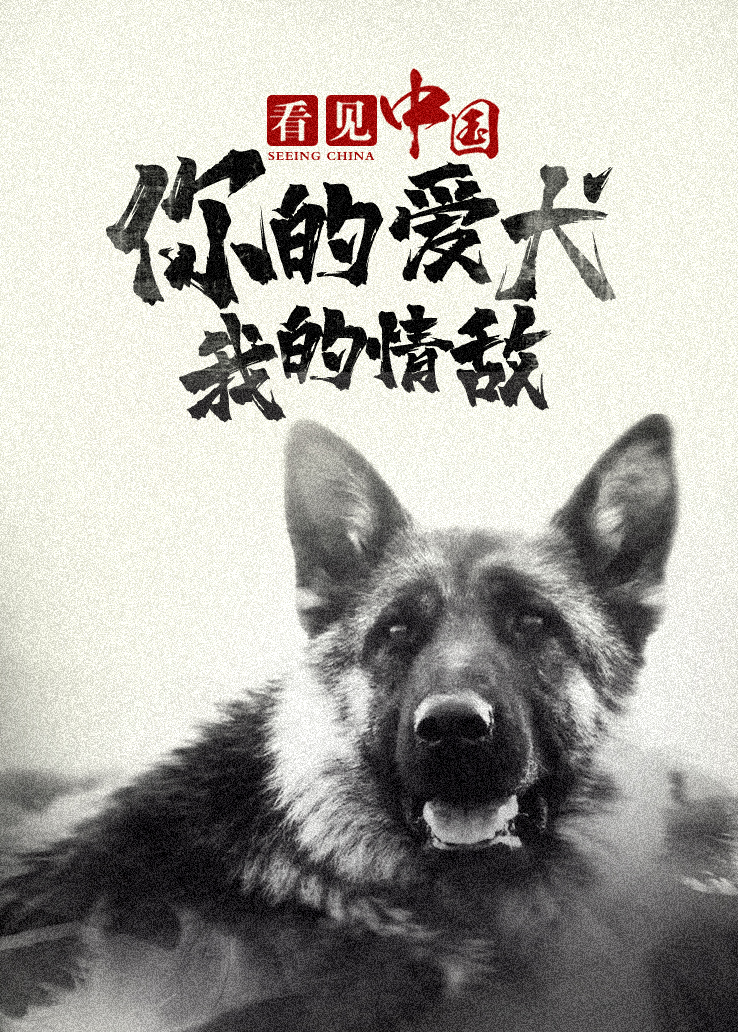 看见中国：你的爱犬我的情敌