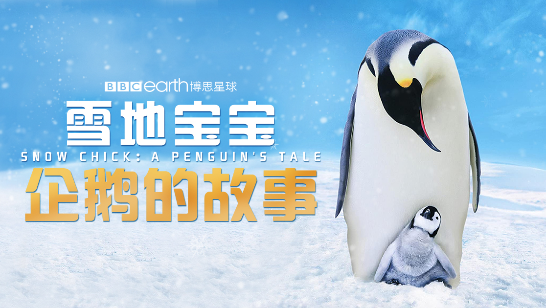 雪地宝宝：企鹅的故事